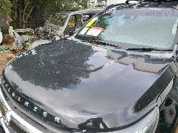 View Auto part Bonnet Holden Trailblazer 2019