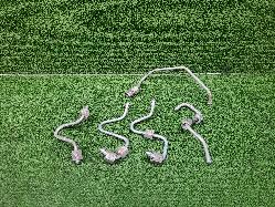 View Auto part Fuel Line Ford Ranger 2007