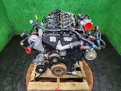 View Auto part Engine Ford Ranger 2016