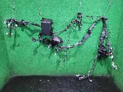 View Auto part Wire Harness Toyota Landcruiser 2023