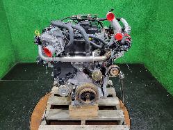 View Auto part Engine Nissan Navara 2010