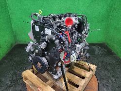 View Auto part Engine Ford Everest 2021