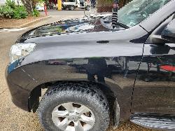 View Auto part Left Guard Toyota Prado 2012