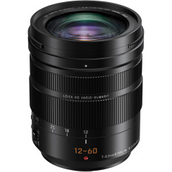 Panasonic Leica DG Vario-Elmarit 12-60mm f2.8-4 ASPH. POWER O.I.S. Lens (IMPORT)