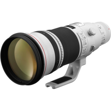 Canon EF 500mm F4L IS II USM Lens