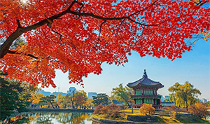 10 Tempat Wisata Di Korea Selatan Saat Musim Gugur Paling