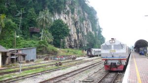 The Jungle Railway