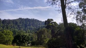 Kebun Raya Penang