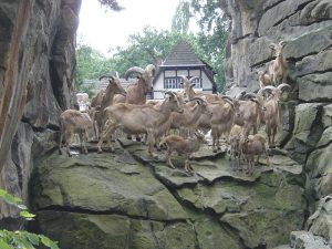Kebun binatang Negara