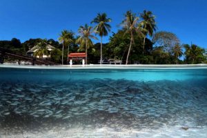 pulau lang tengah