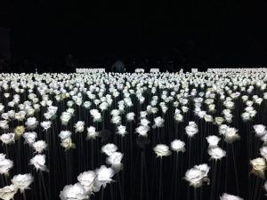 10.000 Roses Cafe in Cebu
