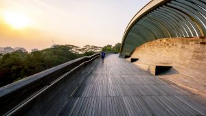 Henderson Waves Bridge