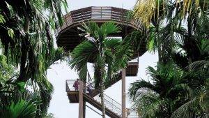 Menara Jejawi