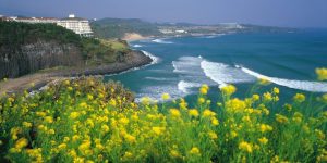 Pulau Jeju korea selatan