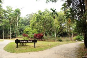 Sensory Trail