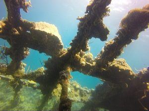 Sunken-Japanese-wreck