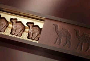 coklat-unta