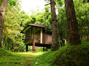 eden nature park