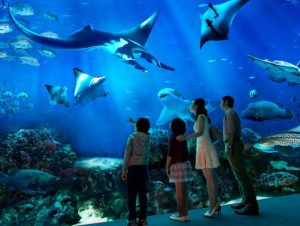 sea aquarium