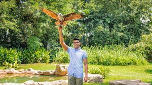 Jurong bird park