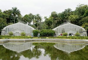 jardim-botanico-de-Sao-Paulo