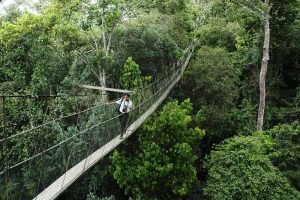 taman negara taman nasional Malaysia