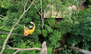 tur Underground Gibbon