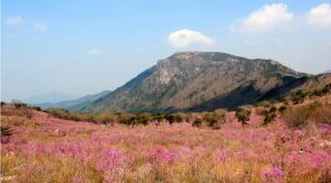 Biseulsan County Park