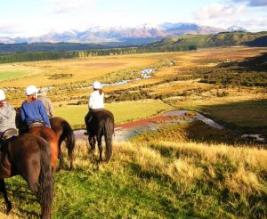 Fiordland-horse-treks-westray-farm-Te-Anau-560x460