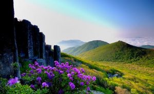 Gwangju-as
