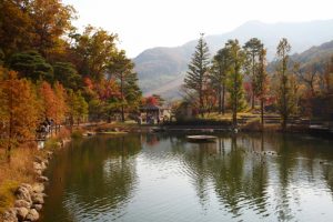 Hwadam Botanic Garden