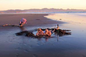 Kawhia Spring