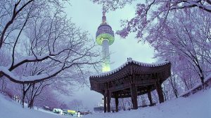 N soul tower