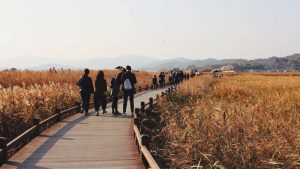 Suncheon