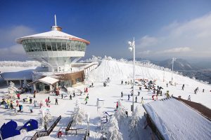 alpensia ski resort