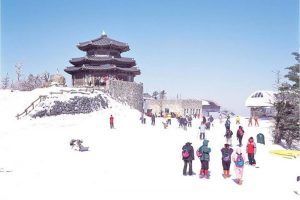 korea selatan ski