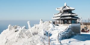 resort musim dingin korea selatan