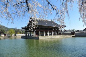 sokcho tours