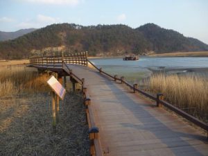 suncheon garden