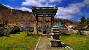 suwon