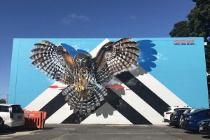 tauranga street art
