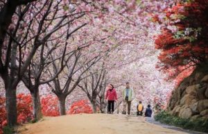 wansan-park