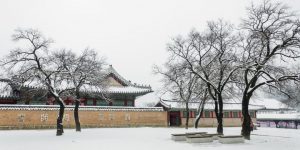 winter di korea selatan