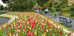 Wellington Botanic Garden