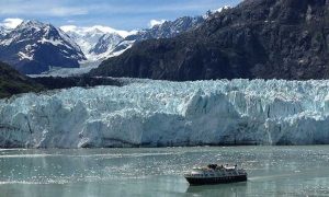 Glacier Bay National Park and Preserve