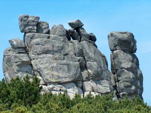 Słonecznik Rock