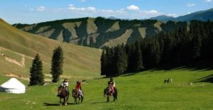 Sothern-pasture