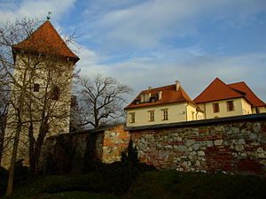 Zupny Castle