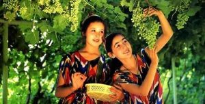 grape-valley