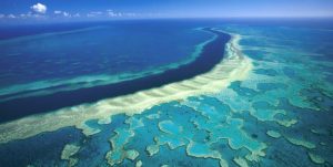 Great Barrier reef